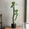 Cacto Cacto Em Vaso Plantas Verdes Falsas Tropicais Paisagismo de Deserto Plantas Verdes Falsas Enfeites Decorativos de Cacto