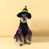 Cachorro Transfronteiriço Pet Fadou Teddy Koji Schanery Urso Filhote Halloween Outono e Inverno Roupas Atacado