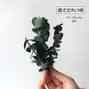 Flores secas canela limão pinha mix e match flores secas artesanais pequeno buquê fresco aromaterapia pacote de material DIY lembrança presente