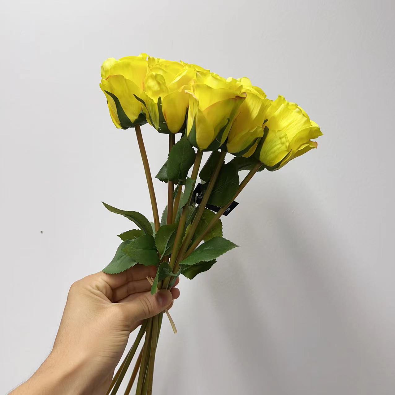 微信图片_20230914112930_1