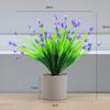 Planta de Simulación Flor Falsa de Plástico 7 Ramas Camelia Gympani Flor de Pasto de Primavera Aciano Hotel Adornos Decoración del Hogar