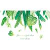 Nuevo LD96004 Hoja verde tropical fresca Dormitorio Sala de estar Entrada Hogar Decoración de pared Adhesivo de pared autoadhesivo