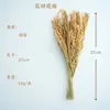 Comida para hámsteres grano lecho para mascotas mijo trigo avena comida para mascotas cáscaras de grano amarillo decoración de nido para mascotas comida para hámsteres