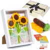 Paquete de Materiales de Crochet Más Vendido de Amazon Serie de Plantas Adornos de Flores en Maceta Regalos Soporte Dropshipping