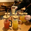 Vaso de Paja Redondo de Una Sola Capa, Vaso de Vidrio Recto para Agua, Vaso para Bebidas Frías, Vaso para Jugos y Agua con Gas, Asa de Colores, Vaso Transparente para Bebidas