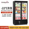 Armário Comercial de Duas Portas para Comércio Exterior e Fronteira, Conservação de Frescos e Congelamento Rápido, Armário Refrigerador Especializado para Lojas e Estabelecimentos, Armário Congelador
