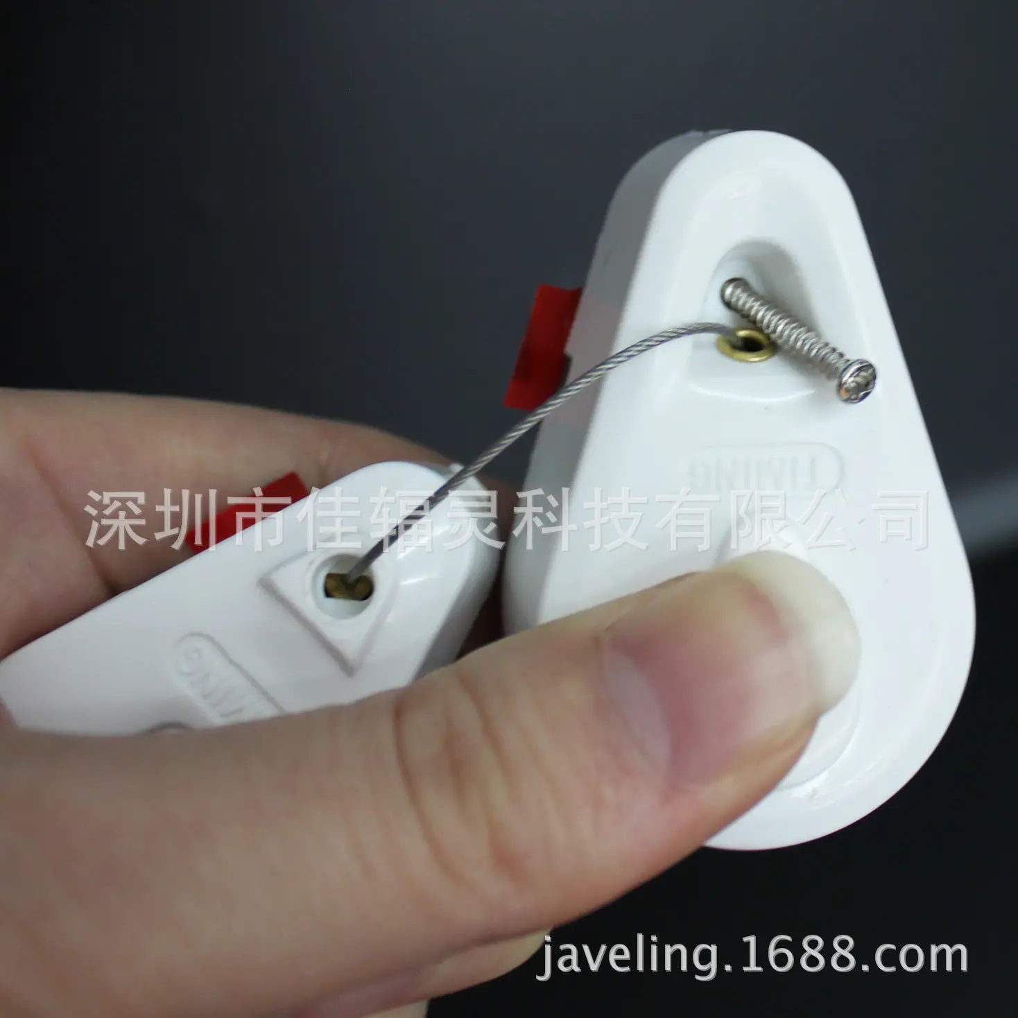 照片 029
