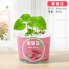 Plantas en macetas pequeñas de frutas y verduras para niños, mini macetas de escritorio para estudiantes, experimento científico de jardín de infantes, taza para plantar frutas y verduras