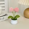 Plantas de tulipanes tejidas a mano en maceta, decoraciones para el hogar, flores artificiales tejidas, ramos de ganchillo de lana, regalos para el comercio transfronterizo
