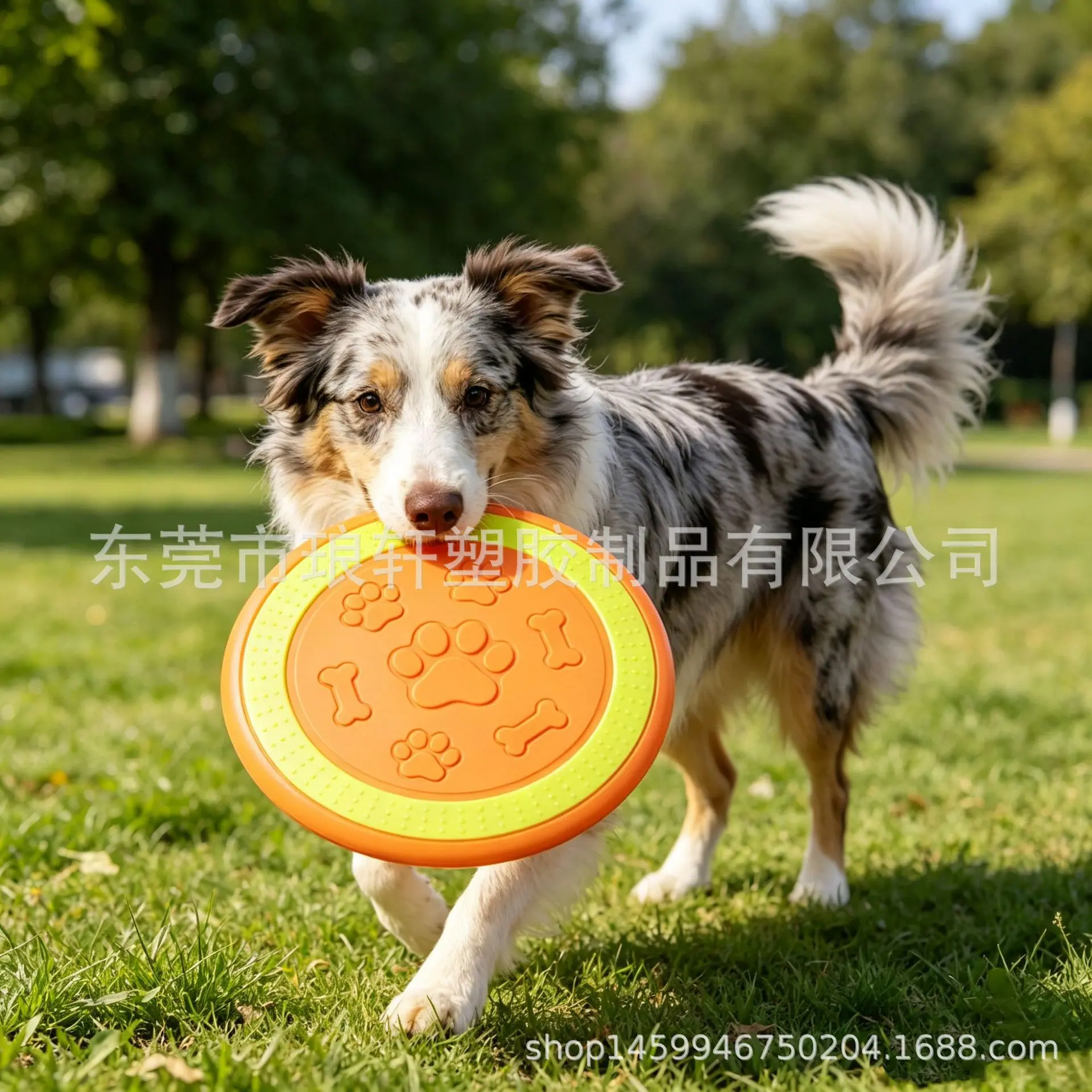 微信图片_20260525195032_1764_152
