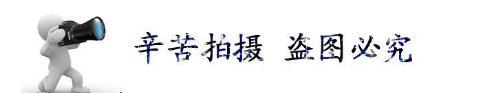 5B8V98TLU9O6ZJR4M]{Z{SF