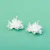 Colgante de Plata S925 Diente de León Fuegos Artificiales con Temperamento Suave, Nuevo Estilo 2025, Accesorios de Joyería de Plata DIY de Gama Alta de Nicho