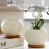 Macetas de Cerámica con Platos para Uso Doméstico al por Mayor, Macetas para Suculentas de Estilo Ins Simple Lujo Ligero Estilo Crema, Disponible para Dropshipping