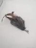 Haste de Brinquedo para Gato com Cabeça de Reposição, Brinquedo para Gato com Sino e Pena, Gadget de Haste para Gato para Autoentretenimento e Alívio do Tédio, Haste Longa de Fio de Aço Resistente à Mordida para Interação