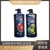 Shampoo Qingyang 500g Controle de Oleosidade Refrescante Vitalidade Esportes Menta Shampoo 750ml Genuíno Atacado
