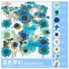 Paquete de Materiales DIY de Flores Secas Flores Prensadas Hechas a Mano Flores Conservadas Marcadores de Libros de Flores Prensadas Hojas de Árbol Real Plantas Pegatinas de Resina Maquillaje Facial