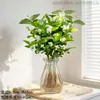 Mudas de jasmim, flores em vaso, gardênia florida repelente de mosquitos para ambientes internos, plantas verdes hidropônicas fáceis de cuidar, gardênia, quatro-estações