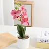 Nuevo Bonsái de Phalaenopsis Cilíndrico de Cinco Cabezas Fotografía Foto Arreglo Flor Artificial en Maceta Decoración Hogar Sala de Estar Artificial