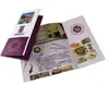 70% de descuento Página Manual de Instrucciones Personalizado 60% de descuento Página Folleto Plegable tipo Acordeón Folleto Plegable de Forma Especial Impresión Plegado con Cierre Colorido