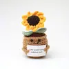 Plantas Engraçadas Transfronteiriças Transfronteiriças Energia Positiva Plantas em Vasos Boneca de Amor Crochê de Lã Feita à Mão Enfeites