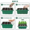 Caixa de mudas com 12 cavidades, altura ajustável, respirável, isolada, ferramenta de jardinagem prática para semear, material que retém umidade, ferramenta de jardim