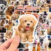 50 nuevas pegatinas de perros con lindas pegatinas de graffiti de perros pintadas a mano para decorar guitarra cuaderno equipaje