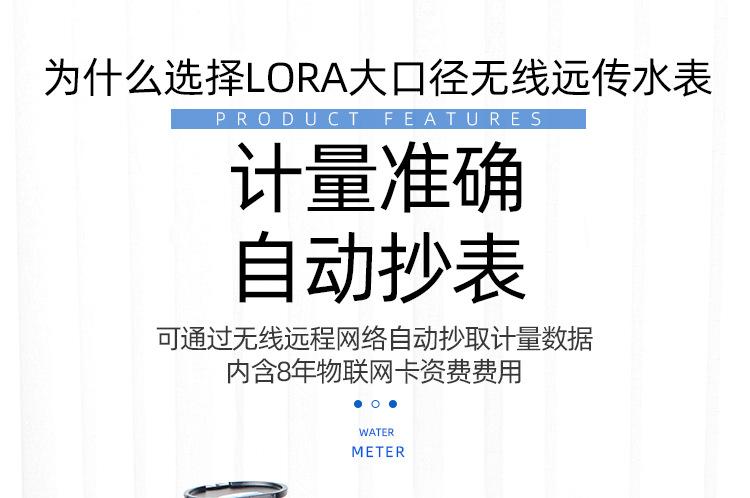 lora无阀大_04.jpg