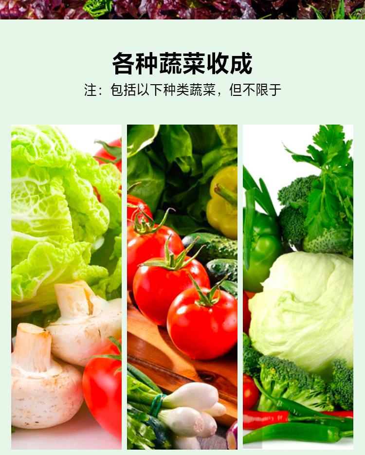 详情图_05