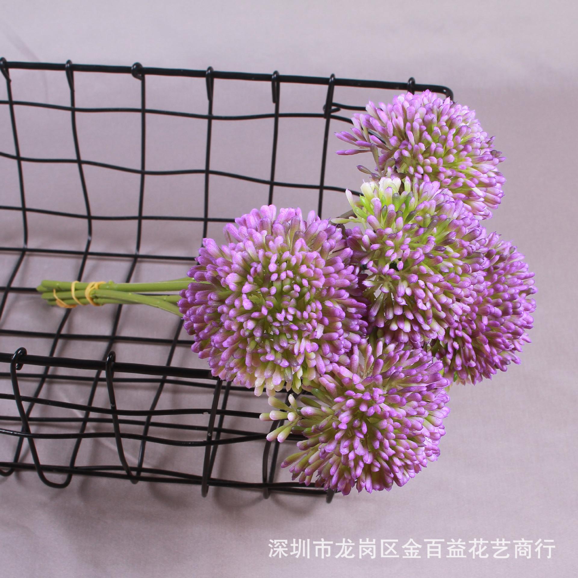 IMG_8596_副本.jpg