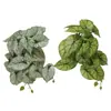 Pegamento Blando de Taro Simulado Siente Hojas Falsas Paisajismo Colgante Pared de Fondo de Pared Oficina Hotel Decoración de Pared de Plantas de Interior