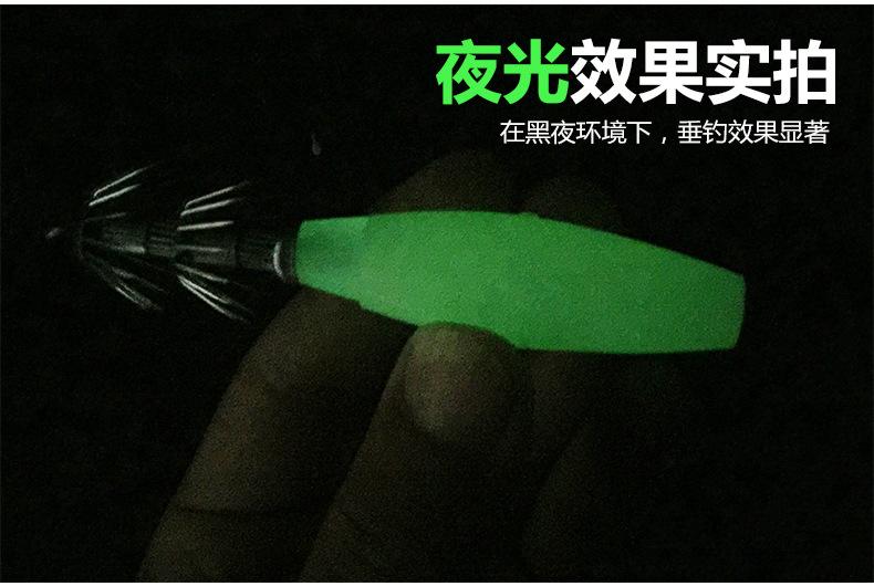 夜光鱿鱼_04
