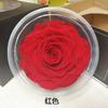 Rosa Eterna Gigante de 10-12 cm Rosa Preservada Flor Eterna Navidad Tanabata Día de San Valentín Regalo de Cumpleaños