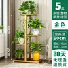Soporte de flores de hierro de pie para macetas de flores estante de decoración para sala de estar interior balcón estante de ahorro de espacio de varias capas estante de rábano verde