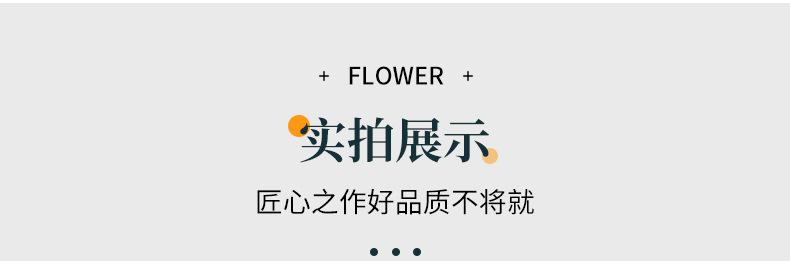详情_10.jpg