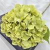 Tela molida grande individual Franny Hortensia auditorio de bodas hogar decoración de flor artificial hortensia simulación al por mayor
