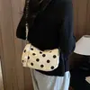 Bolso de moda para mujer 2026 transfronterizo, bolso de hombro de lunares, bolso cruzado casual elegante y único para ir al trabajo