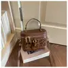 Bolso de mano de nicho estilo coreano con estampado de leopardo para mujer, nuevo bolso caja retro de moda para salir, bandolera de un solo hombro, moderno