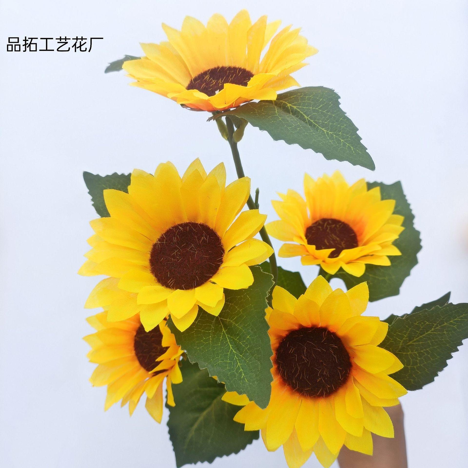 bc9c6e93f1d49e86fdae2d8b0c63ad