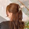 Corea del Sur Placa de Ácido Acético Pinza para el Cabello de una Palabra Parte Posterior de la Cabeza Clip para el Cabello Simple Clip para el Cabello Elegante para Mujer Tocado