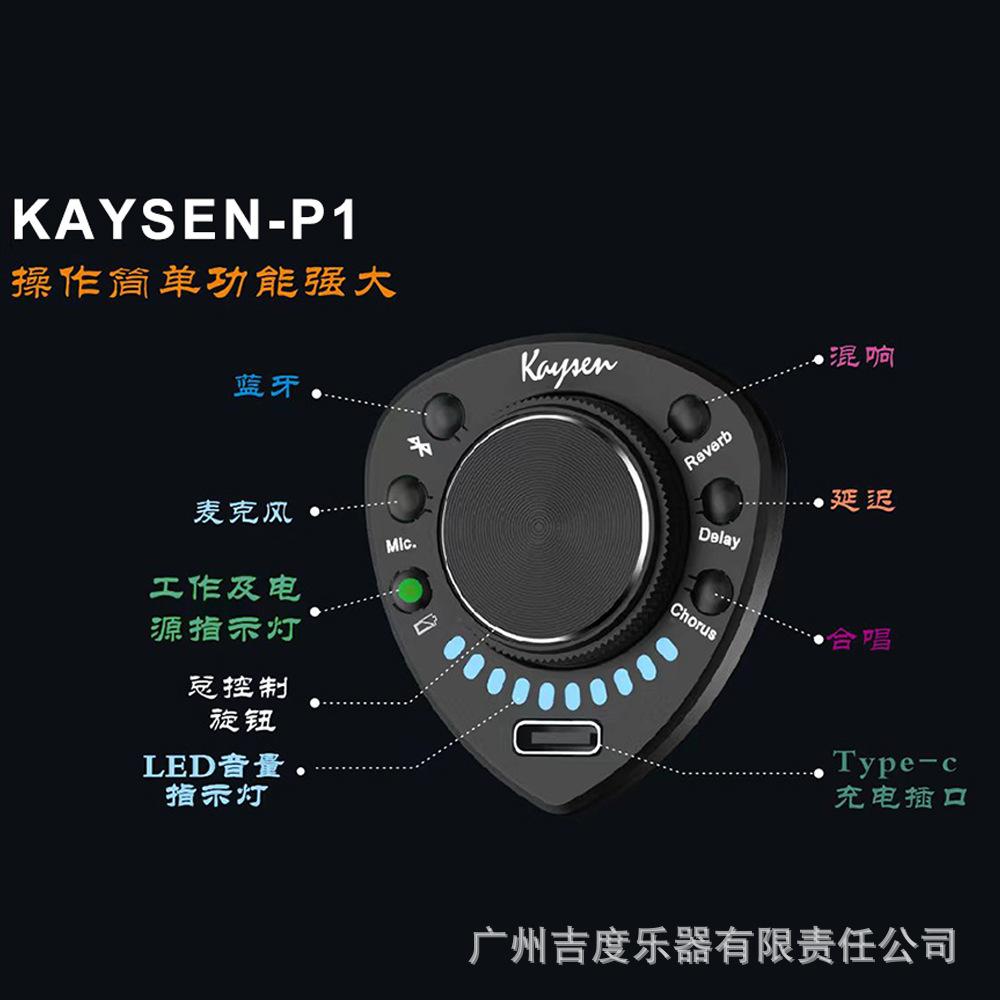 kaysen-P1