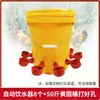 Bebedouro Automático para Aves: Pombos, Patos, Gansos e Frangos; Bebedouro Especial para Criação de Frangos; Novo Modelo