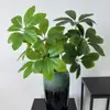 Hojas de la Fortuna Simuladas, Paisajismo de Jardines, Macetas de Flores Artificiales, Decoración de Sala de Estar, Plantas Verdes, Árboles de la Fortuna de Interior, Florales Creativos al por Mayor