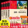 Feliz Leitura de Verão para 5º e 6º Anos. Livros Extracurriculares Recomendados para Leitura de Verão. Traduções famosas