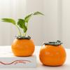 Grande Gedali Desktop Ornamentos Decorativos Recipiente Criativo Vaso Laranja Cerâmica Vaso de Flores Hidropônico Verde Arochus Planta Hidropônica