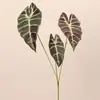 Plantas verdes artificiais, incluindo folhas de Alocasia, para decoração de escritório e sala modelo; folhas de taro coloridas para design de paisagem em miniatura; plantas artificiais para colocação no solo