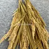 Planta de Simulação Chinesa Espiga de Trigo Arroz Flor de Simulação Pastagem Arroz Simulação de Culturas Ornamentos de Flores Internos e Externos