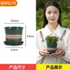 Vaso de Flores Plástico Liquidação Varanda Rabanete Verde Planta em Vaso Pequena Calibre Extra Grande Resina Espessada Vaso Galão Rosa Juncos