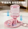 Comedero de agua por gravedad para gatos, no eléctrico, cuenco portátil para mascotas para exteriores, compatible con botellas de agua mineral, dispensador automático de agua para gatos