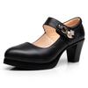 Zapatos de Tacón Medio Grueso Modelo Primavera y Otoño 2025 para Mujeres de Mediana Edad y Mayores, Zapatos Profesionales de Trabajo, Tallas Grandes 40-43
