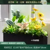 Caja de flores decoración flores y plantas arreglo floral producto terminado adorno de planta verde venta de restaurante oficina mampara canaleta de flores paisajismo biónico